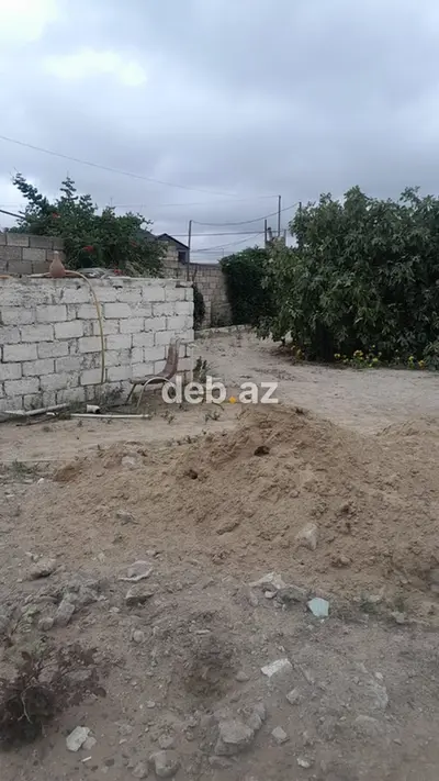 2 sot, Tikinti, Kupça (Çıxarış) — kiçik şəkil 4