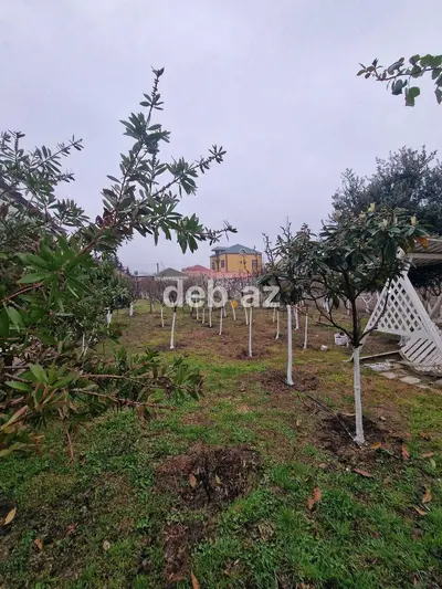 Zabrat 2 otaqlı, 55 kv. m — kiçik şəkil 7