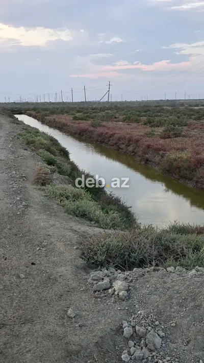 15000 sot, Kənd təsərrüfatı, Mülkiyyətçi, Kupça (Çıxarış) — kiçik şəkil 4