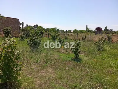 8 sot, Kənd təsərrüfatı, Mülkiyyətçi, Kupça (Çıxarış) — kiçik şəkil 3