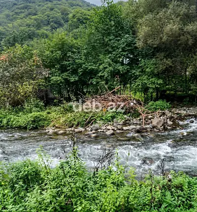3 sot, Tikinti, Mülkiyyətçi, Kupça (Çıxarış) — kiçik şəkil 1