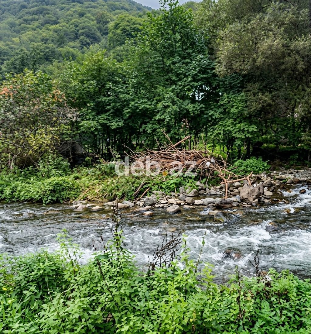 3 sot, Tikinti, Mülkiyyətçi, Kupça (Çıxarış) — şəkil 1