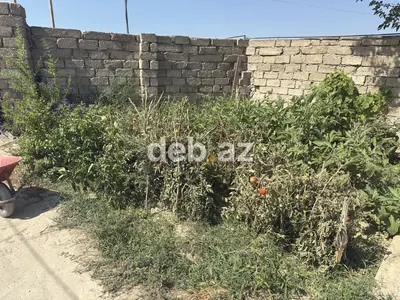 Türkan Qəsəbəsində Qazlı və Kombili 3 Otaqlı Həyət Evi Satılır (110 kv.m) — kiçik şəkil 11