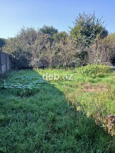 4 sot, Tikinti, Kupça (Çıxarış) — kiçik şəkil 1