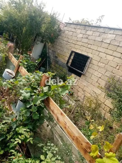 3 sot, Makler, Kupça (Çıxarış) — kiçik şəkil 6