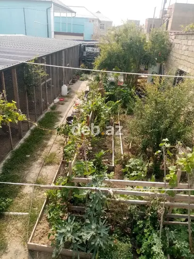 3 sot, Makler, Kupça (Çıxarış) — kiçik şəkil 5
