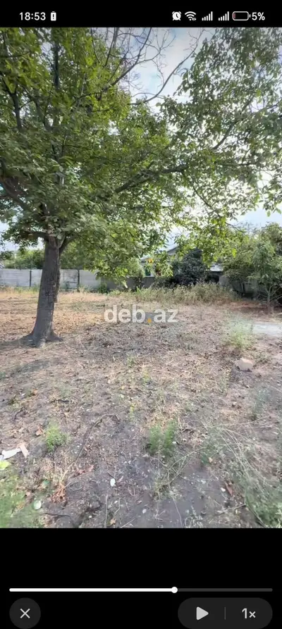 10 sot, Tikinti, Barter mümkündür, Kupça (Çıxarış) — kiçik şəkil 9