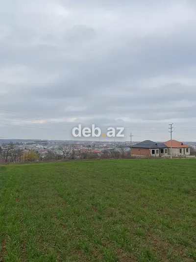 7 sot, Tikinti, Mülkiyyətçi, Kupça (Çıxarış) — kiçik şəkil 2