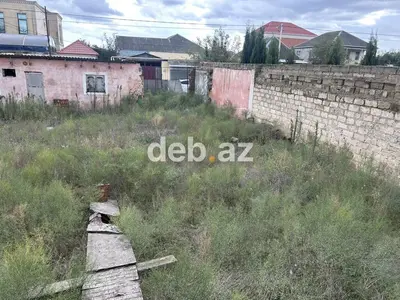 6 sot, Tikinti, Kupça (Çıxarış) — kiçik şəkil 10