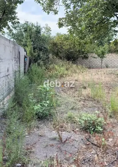 Bərdədə 10 sot tikinti təyinatlı, kupçalı torpaq sahəsi satılır — Barter mümkündür — kiçik şəkil 11