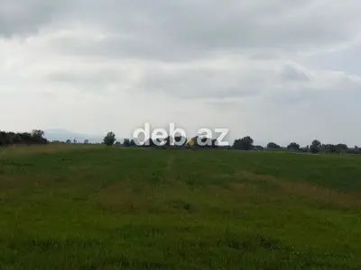 1.14 hektar (114 sot) kənd təsərrüfatı təyinatlı sənədli torpaq sahəsi satılır — kiçik şəkil 2