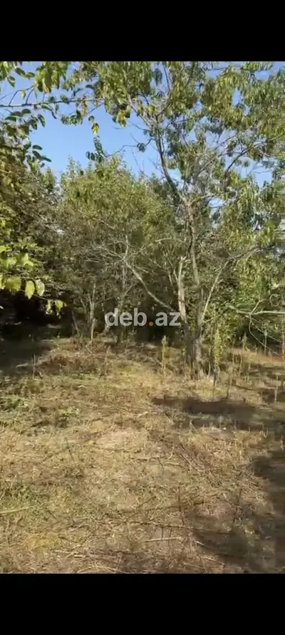 21 sot, Tikinti, Mülkiyyətçi, Kupça (Çıxarış) — kiçik şəkil 4