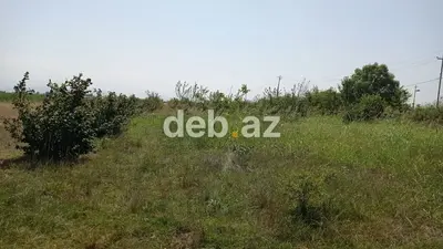 Xaçmazda 14 sot tikinti təyinatlı, kupçalı (çıxarışlı) torpaq sahəsi satılır — kiçik şəkil 2