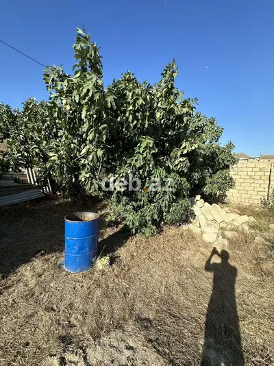 4 sot, Tikinti, Maklerlər narahat etməsin, Kupça (Çıxarış) — kiçik şəkil 5