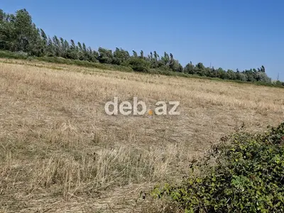 Şabran şəhərində sahibkarlıq fəaliyyəti üçün özəl müəssisəyə ayrılmış — kiçik şəkil 5