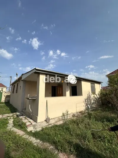 Salam, Corat bağları, Sumqayıt şəhəri, Saray baglar massivi, 2513 — kiçik şəkil 2