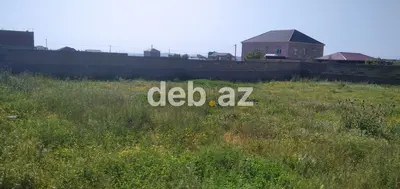 5 sot, Tikinti, Kupça (Çıxarış) — kiçik şəkil 1