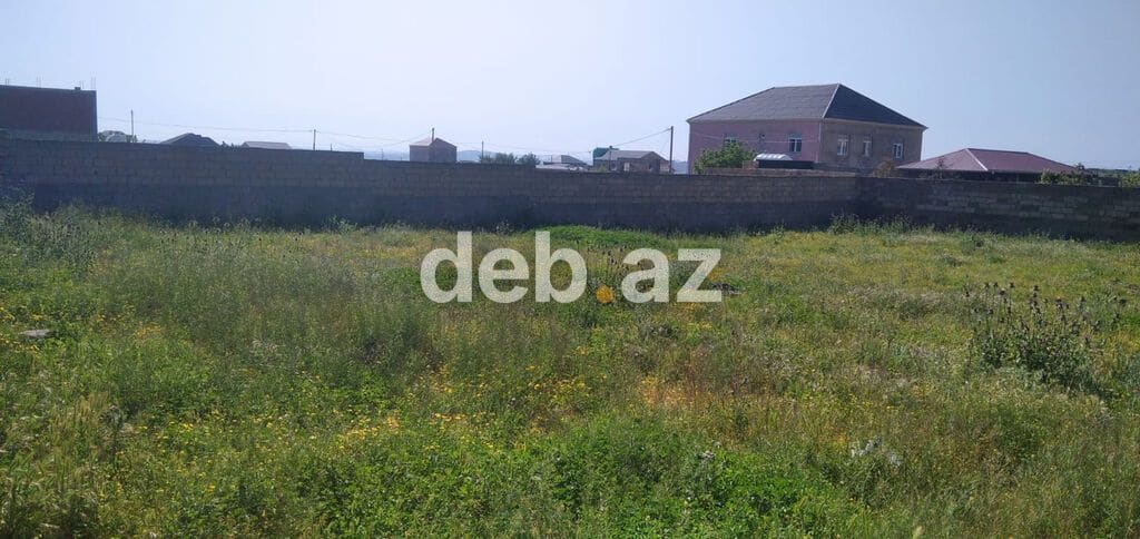 5 sot, Tikinti, Kupça (Çıxarış) — Abşeron