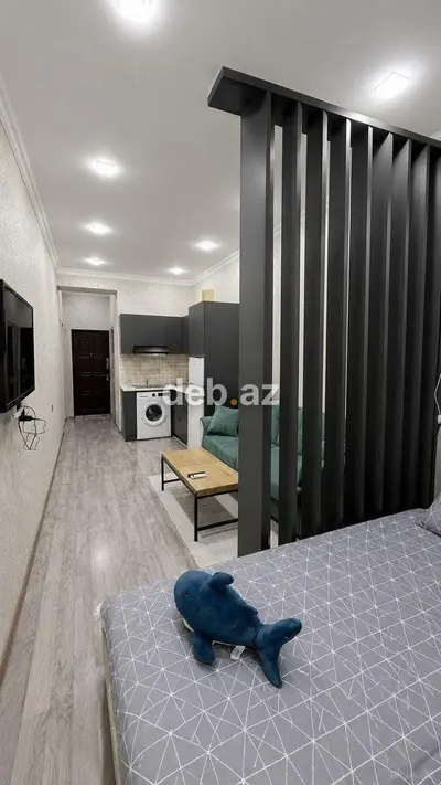 İcarəyə verilir 1 otaqlı yeni tikili 40 m², Nəsimi r. Kateqoriya Yeni — kiçik şəkil 3