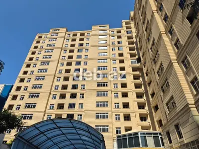 4 otaqlı, Yeni tikili, 241 kv. m — kiçik şəkil 3