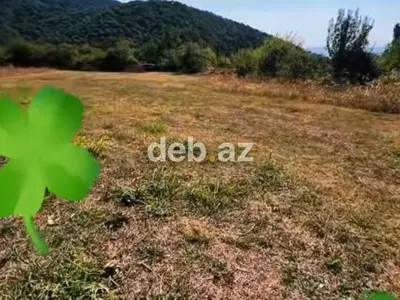 5 sot, Tikinti, Mülkiyyətçi, Kupça (Çıxarış) — kiçik şəkil 5