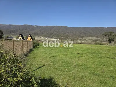 18 sot, Tikinti, Mülkiyyətçi, Kupça (Çıxarış) — kiçik şəkil 6