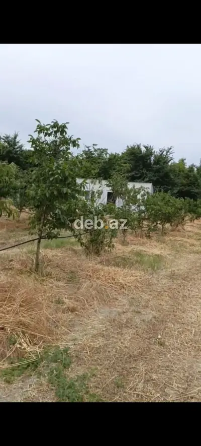 - Çıxarışı var. Kənd təsərrüfatı təyinatlı torpaqdır. - 1.27 hektar — kiçik şəkil 10
