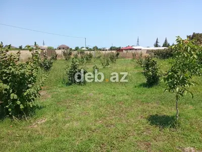 8 sot, Kənd təsərrüfatı, Mülkiyyətçi, Kupça (Çıxarış) — kiçik şəkil 8