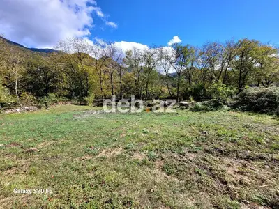 6 sot, Tikinti, Mülkiyyətçi, Kupça (Çıxarış) — kiçik şəkil 4