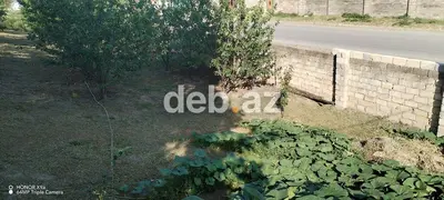 10 sot, Tikinti, Mülkiyyətçi, Kupça (Çıxarış) — kiçik şəkil 3
