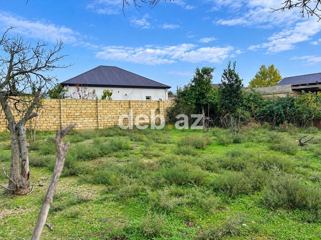 6 sot, Tikinti, Kupça (Çıxarış) — şəkil 1