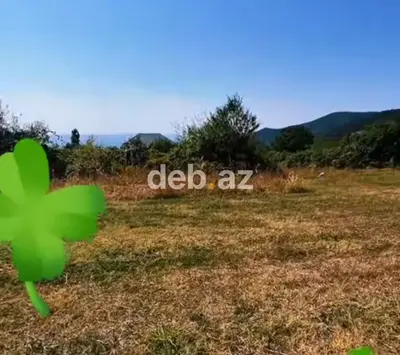 5 sot, Tikinti, Mülkiyyətçi, Kupça (Çıxarış) — kiçik şəkil 4