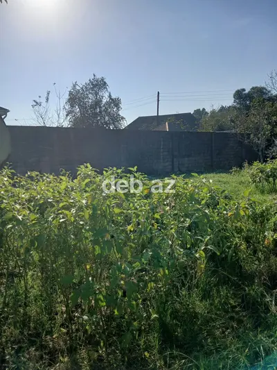 4 sot, Tikinti, Kupça (Çıxarış) — kiçik şəkil 3