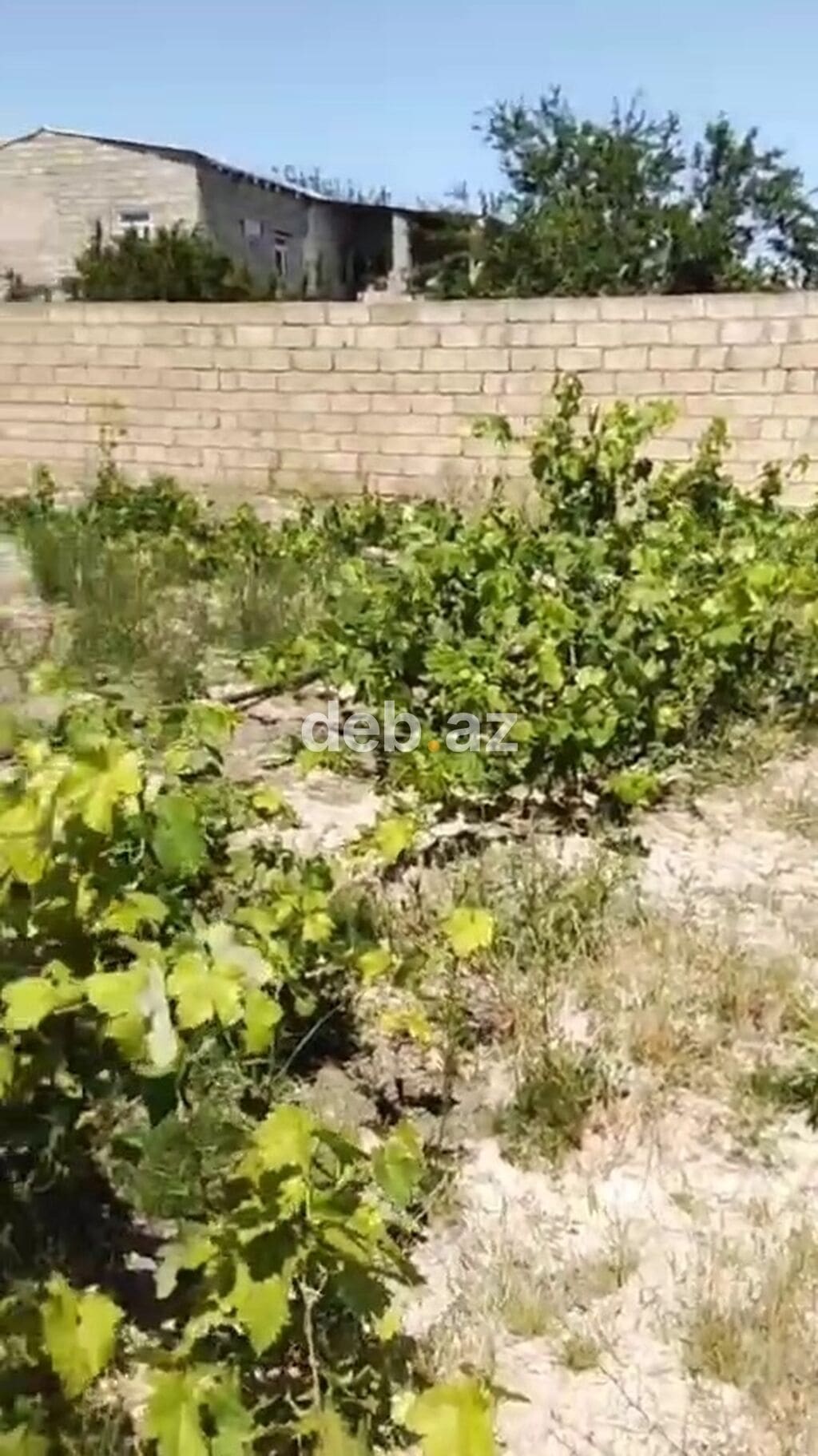 3 sot, Bələdiyyə — Bakı