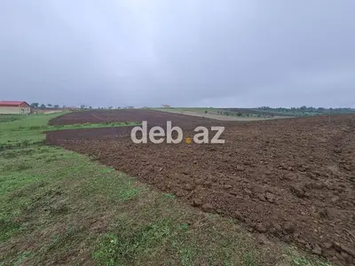 100 sot, Kənd təsərrüfatı, Mülkiyyətçi, Kupça (Çıxarış) — kiçik şəkil 7