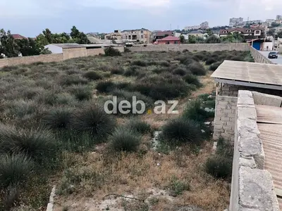 50 sot, Tikinti, Kupça (Çıxarış) — kiçik şəkil 8