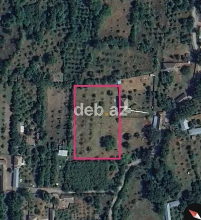 43 sot, Tikinti, Mülkiyyətçi, Kupça (Çıxarış) — kiçik şəkil 2