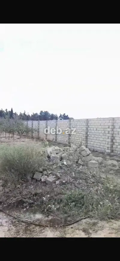 Sabunçu rayonu, Bilgəh qəsəbəsində kənd təsərrüfatı təyinatlı torpaq sahəsi satılır (Kupçalı) — kiçik şəkil 3