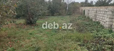 Xaçmaz rayonu, Həsənqala kəndində 20 sot fındıq bağı və tikinti — kiçik şəkil 11