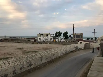 50 sot, Tikinti, Kupça (Çıxarış) — kiçik şəkil 7