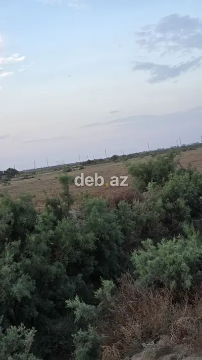 15000 sot, Kənd təsərrüfatı, Mülkiyyətçi, Kupça (Çıxarış) — kiçik şəkil 7