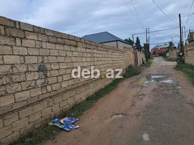 2 sot, Tikinti, Mülkiyyətçi, Kupça (Çıxarış) — kiçik şəkil 2