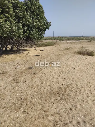 Turkan qes.Qizilqumda.denizden 180 metr arali.Denize panarama goruntu — kiçik şəkil 6