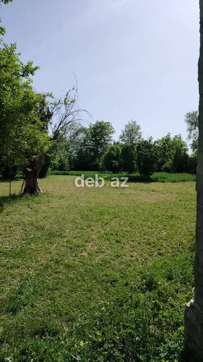 30 sot, Biznes üçün, Mülkiyyətçi, Kupça (Çıxarış) — kiçik şəkil 3