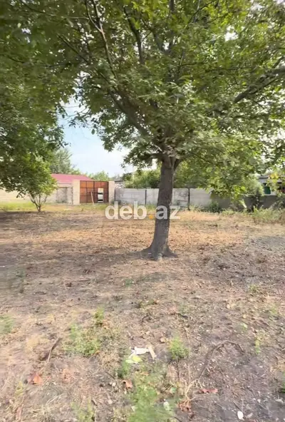 Bərdədə 10 sot tikinti təyinatlı, kupçalı torpaq sahəsi satılır — Barter mümkündür — kiçik şəkil 4