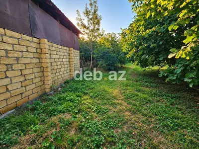 9 sot, Tikinti, Mülkiyyətçi, Kupça (Çıxarış) — kiçik şəkil 5
