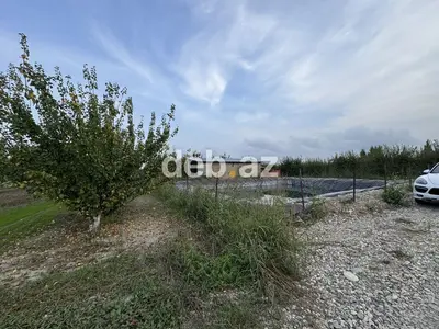 300 sot, Kənd təsərrüfatı, Mülkiyyətçi, Kupça (Çıxarış) — kiçik şəkil 9