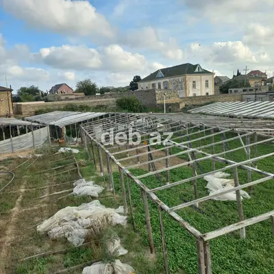 26 sot, Tikinti, Mülkiyyətçi, Kupça (Çıxarış) — kiçik şəkil 5