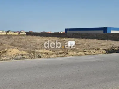 50 sot, Kənd təsərrüfatı, Mülkiyyətçi, Kupça (Çıxarış) — kiçik şəkil 3