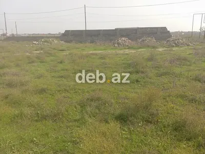 6 sot, Kənd təsərrüfatı, Maklerlər narahat etməsin, Kupça (Çıxarış) — kiçik şəkil 1